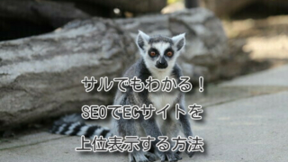 サルでもわかる！SEOでECサイトを上位表示する方法