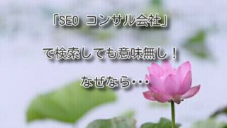 「SEO コンサル会社」で検索しても意味無し。なぜなら