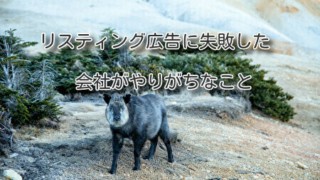 リスティング広告に失敗した会社がやりがちなこと