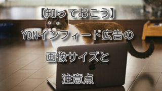 Thumbnail of post image 043