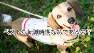 Thumbnail of post image 185