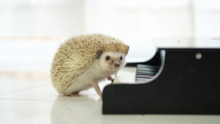 Thumbnail of post image 109