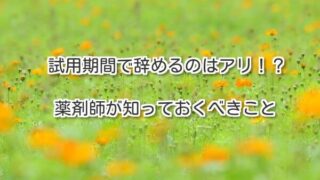 Thumbnail of post image 046