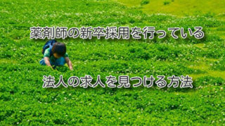 薬剤師の新卒採用を行っている法人の求人を見つける方法